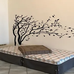 check availability